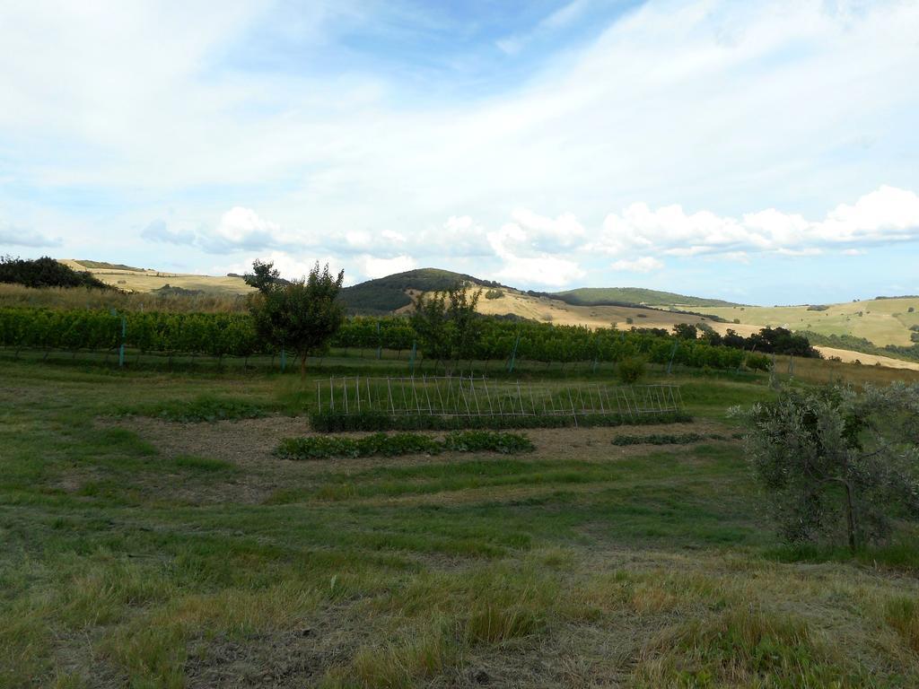 Agriturismo Santa Bruna Volterra Buitenkant foto