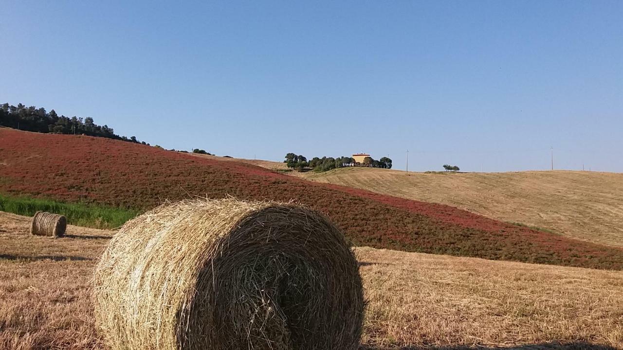 Agriturismo Santa Bruna Volterra Buitenkant foto